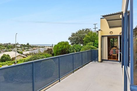 Photo of property in 313 Hill Street, Richmond, 7020