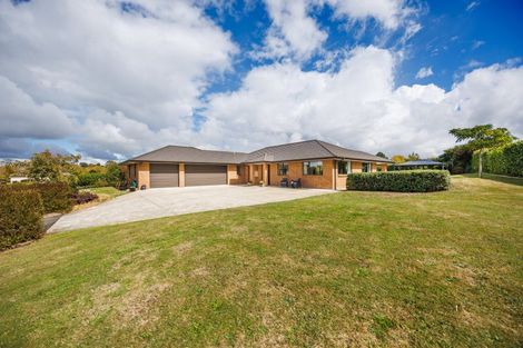Photo of property in 4 Whio Avenue, Feilding, 4775