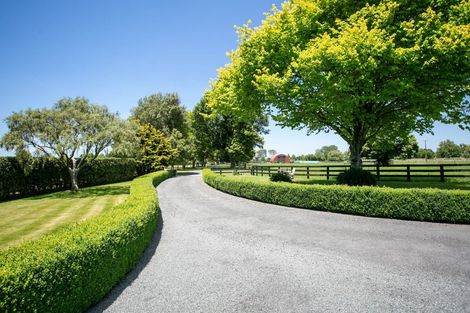 Photo of property in 182 Station Road, Matamata, 3472