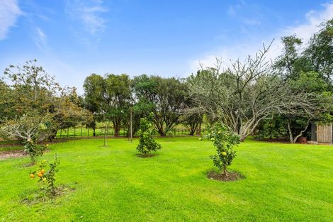 Photo of property in 316 Mountain Road, Maungaturoto, 0587
