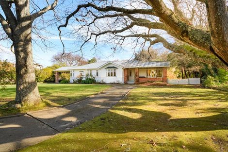 Photo of property in 18 Skerman Street, Marton, 4710