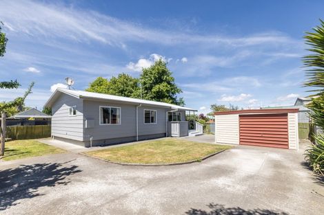 Photo of property in 207a Wolseley Street, Mayfair, Hastings, 4122