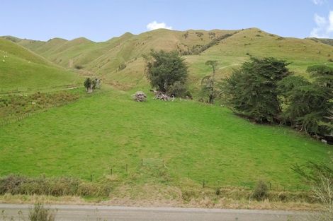 Photo of property in 420 Mangaoranga Road, Eketahuna, 4993