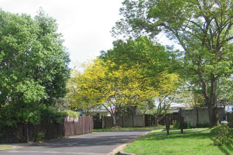 Photo of property in 24 Turnbull Crescent, Morrinsville, 3300