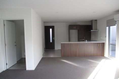 Photo of property in 33a Ruskin Street, Addington, Christchurch, 8024