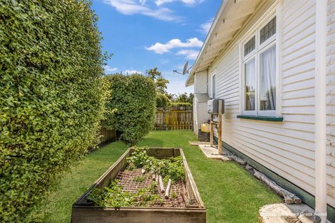 Photo of property in 408 Williams Street, Mahora, Hastings, 4120