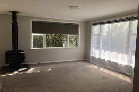 Photo of property in 60 Wakeman Street, Pahiatua, 4910