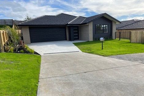 Photo of property in 24 Rongomai Street, Helensville, 0800