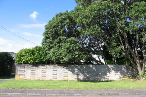 Photo of property in 29 Graham Avenue, Te Atatu Peninsula, Auckland, 0610