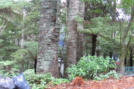 Photo of property in 15 Manuka Road, Titirangi, Auckland, 0604