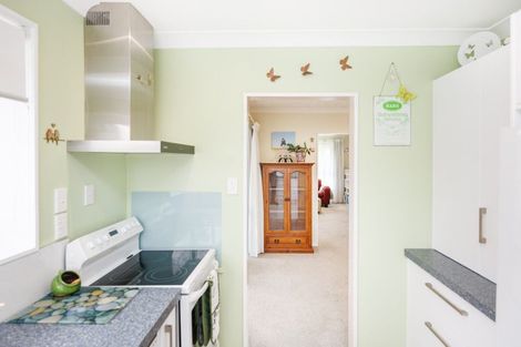 Photo of property in 15-17 Mcarthur Street, Terrace End, Palmerston North, 4410