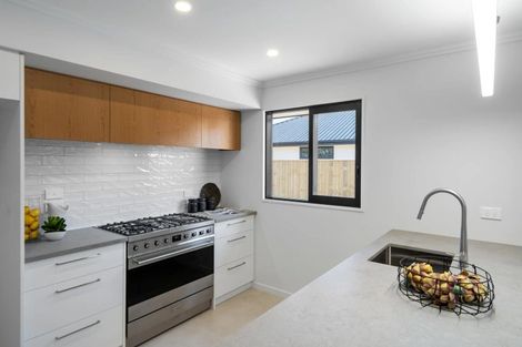 Photo of property in 102 Ed Hillary Drive, Rolleston, 7615