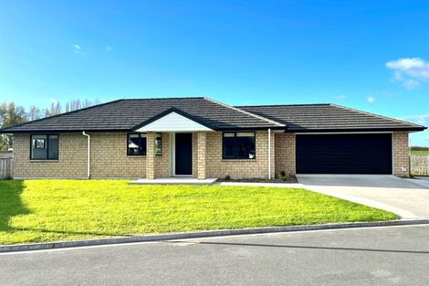 Photo of property in 2 Sargent Place, Otorohanga, 3900