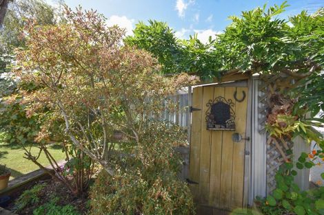 Photo of property in 53 Signal Hill Road, Opoho, Dunedin, 9010
