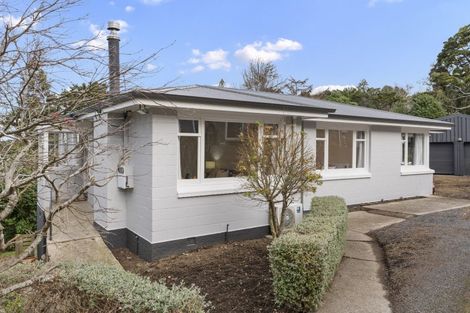 Photo of property in 20 Dorset Street, Balaclava, Dunedin, 9011