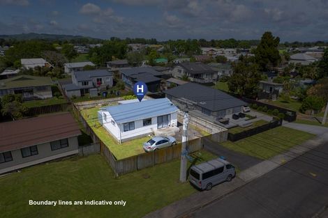 Photo of property in 21 Andrews Street, Paeroa, 3600