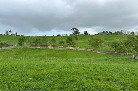 Photo of property in 279 Hunter Road, Patumahoe, Pukekohe, 2679