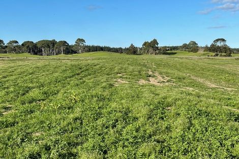 Photo of property in 213 Black Swamp Road, Mangawhai, Wellsford, 0975