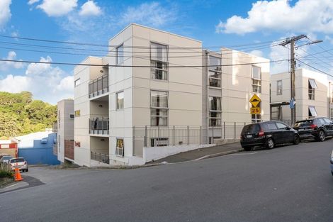 Photo of property in Hanson House, 1a/27 Hanson Street, Mount Cook, Wellington, 6021