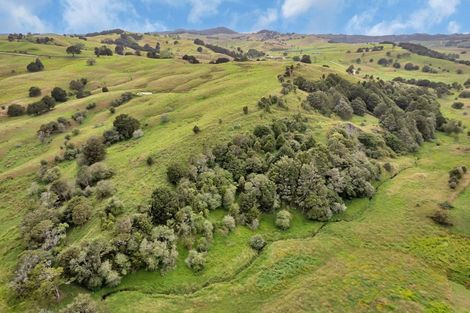 Photo of property in 1754 Ararua Road, Ararua, Matakohe, 0594