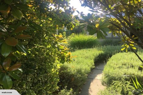 Photo of property in 56 Erris Street, Cromwell, 9310