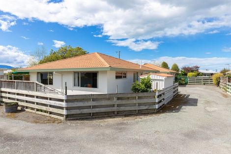 Photo of property in 29a Cubitt Street, Blenheim, 7201