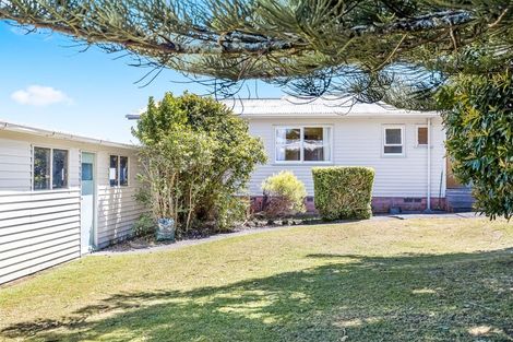 Photo of property in 29 Kaikoura Street, Henderson, Auckland, 0612