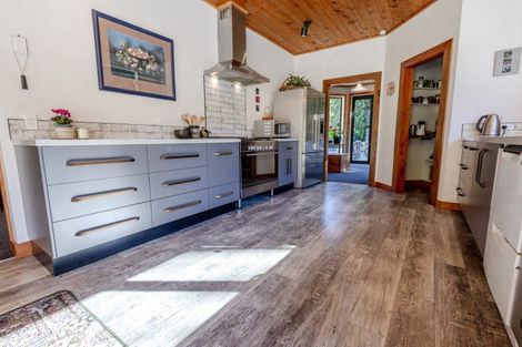 Photo of property in 26 Sanctuary Place, Kumara Junction, Hokitika, 7882