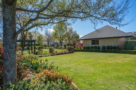 Photo of property in 39 Montrose Avenue, Culverden, 7392