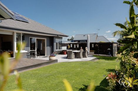 Photo of property in 26 Kildonan Place, Bethlehem, Tauranga, 3110