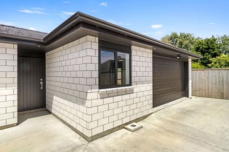 Photo of property in 3a Hutchison Crescent, Durie Hill, Whanganui, 4500