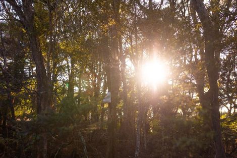 Photo of property in 886 Purerua Road, Te Ti Mangonui, Kerikeri, 0294