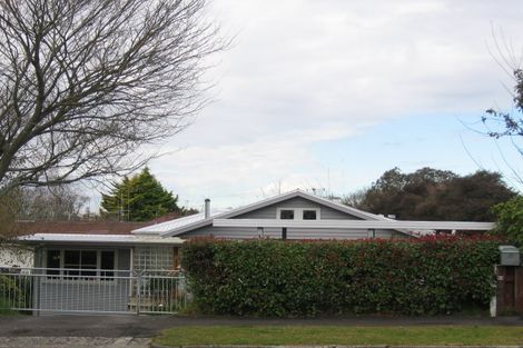 Photo of property in 15b Edgecumbe Street, Whitiora, Hamilton, 3200