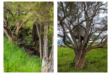 Photo of property in 71 Mangotahi Road, Thames, 3577