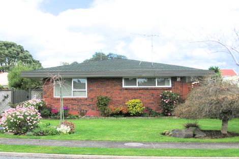 Photo of property in 4 Ririnui Place, Maungatapu, Tauranga, 3112