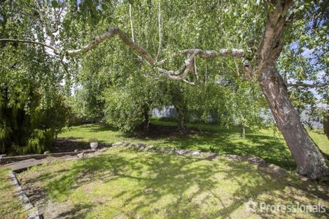 Photo of property in 29 Cornwall Street, Masterton, 5810