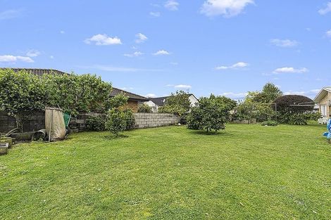 Photo of property in 8 Morrice Avenue, Morrinsville, 3300