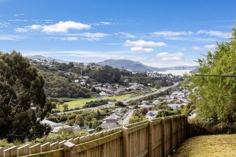 Photo of property in 46 Waimea Avenue, Calton Hill, Dunedin, 9012