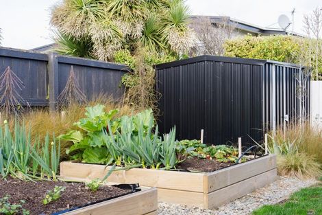 Photo of property in 88b Tomahawk Road, Andersons Bay, Dunedin, 9013
