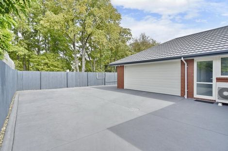 Photo of property in 28 Primrose Hill Lane, Casebrook, Christchurch, 8051