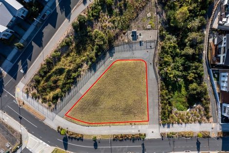 Photo of property in 87 Joshua Carder Drive, Hobsonville, Auckland, 0616