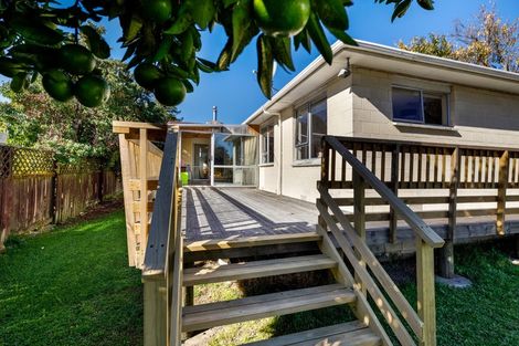 Photo of property in 36 Brydon Street, Renwick, 7204