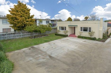 Photo of property in 105 Nixon Street, Hamilton East, Hamilton, 3216