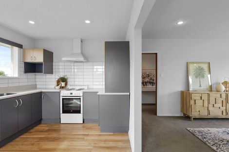 Photo of property in 2 Salmond Street, Hoon Hay, Christchurch, 8025