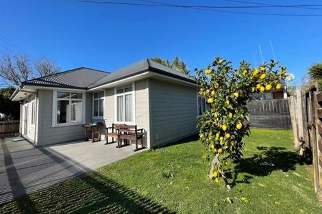 Photo of property in 163 Galloway Street, Hamilton East, Hamilton, 3216