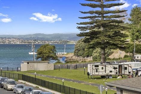 Photo of property in 16 Adams Avenue, Mount Maunganui, 3116