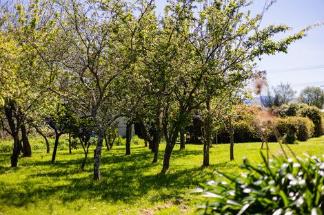 Photo of property in 93a Harley Street, Solway, Masterton, 5810