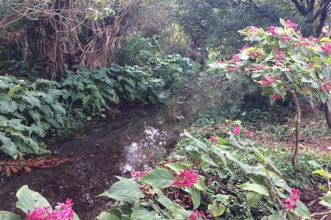 Photo of property in 6 Park Avenue, Waikanae, 5036