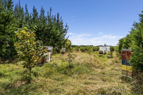 Photo of property in 318 Kuku Beach Road, Kuku, Levin, 5570
