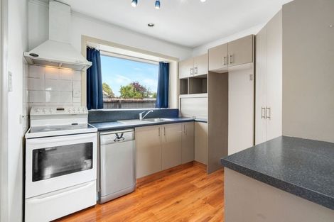 Photo of property in 95 Oakhampton Street, Hornby, Christchurch, 8042